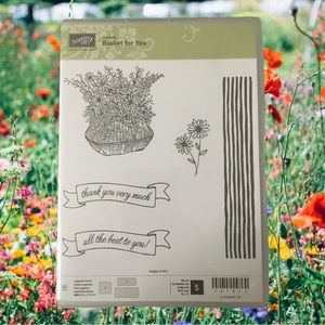$15 or 3/$40 New Stampin Up - Basket For You